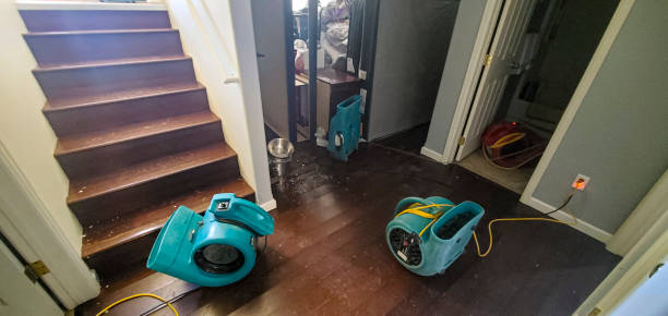 Carpet water damage restoration in Santa Nella, CA