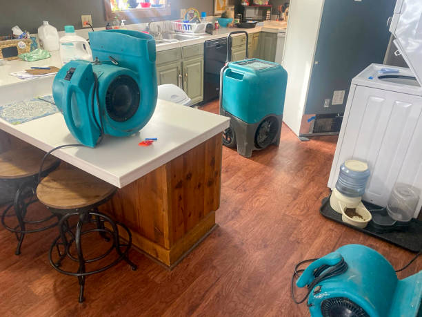 Trusted Santa Nella, CA Water damage restoration Experts