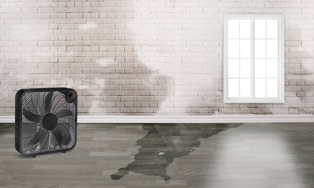 Best Sewage cleanup and water damage restoration  in Santa Nella, CA