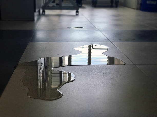 Best Water damage restoration near me  in Santa Nella, CA