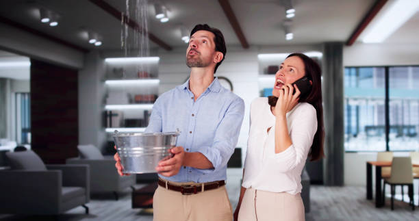 Best Sewage cleanup and water damage restoration  in Santa Nella, CA